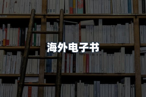 海外电子书