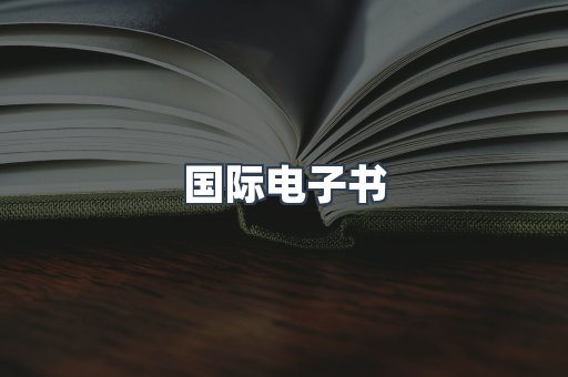 国际电子书