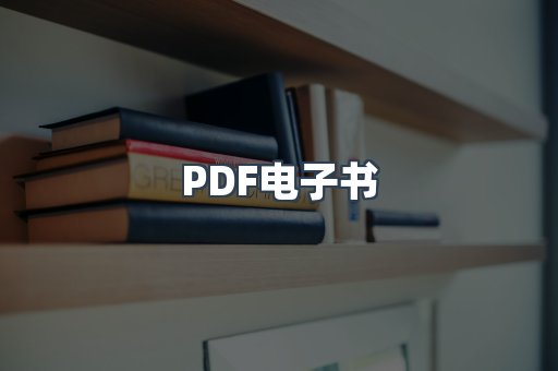 PDF电子书